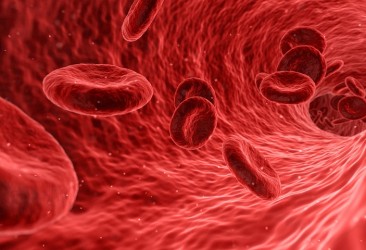 Blood Cancer